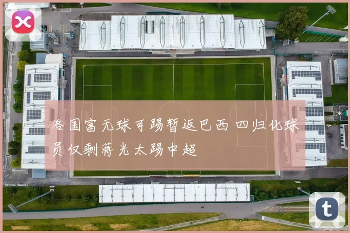 洛国富无球可踢暂返巴西 四归化球员仅剩蒋光太踢中超
